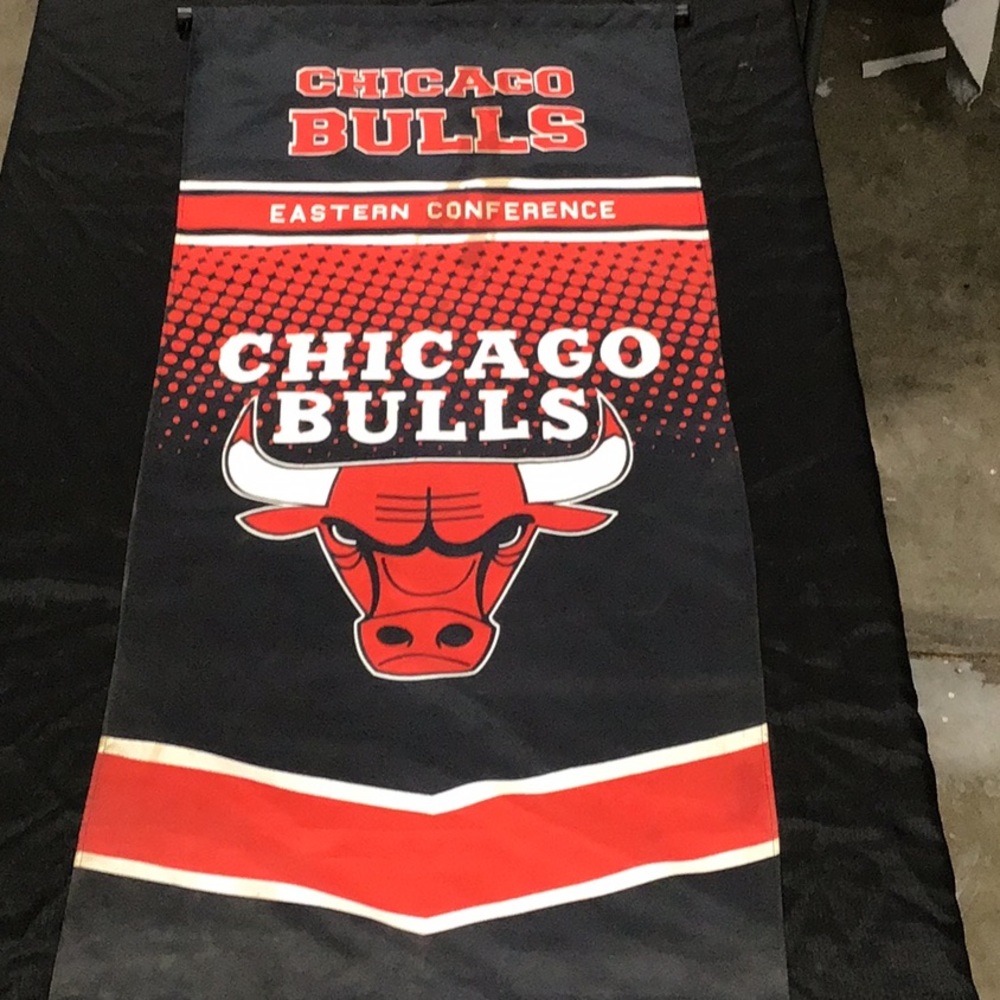 VINTAGE BULLS BANDIER